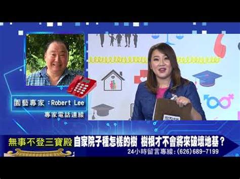 不會破壞地基的樹種|【不會竄根的樹】錯選樹種毀結構！房前屋後「不會竄根」4種樹。